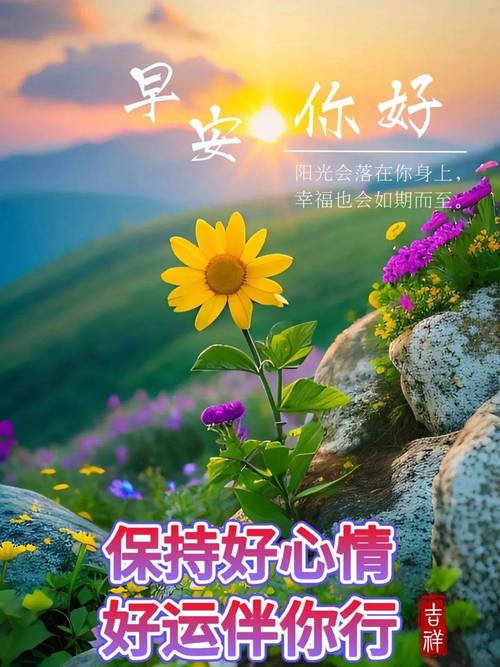 澳門(mén)六和彩開(kāi)獎(jiǎng)結(jié)果資料查詢2024年1月1日,最佳精選數(shù)據(jù)資料_手機(jī)版24.02.60