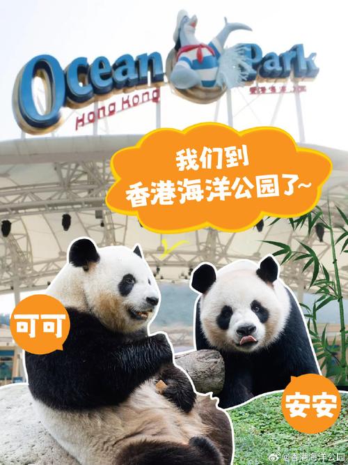30期香港正版資料,最佳精選數(shù)據(jù)資料_手機版24.02.60