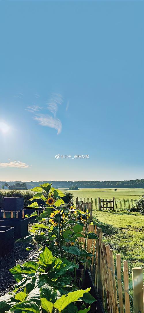新澳門四肖八碼風(fēng)凰碼,最佳精選數(shù)據(jù)資料_手機(jī)版24.02.60