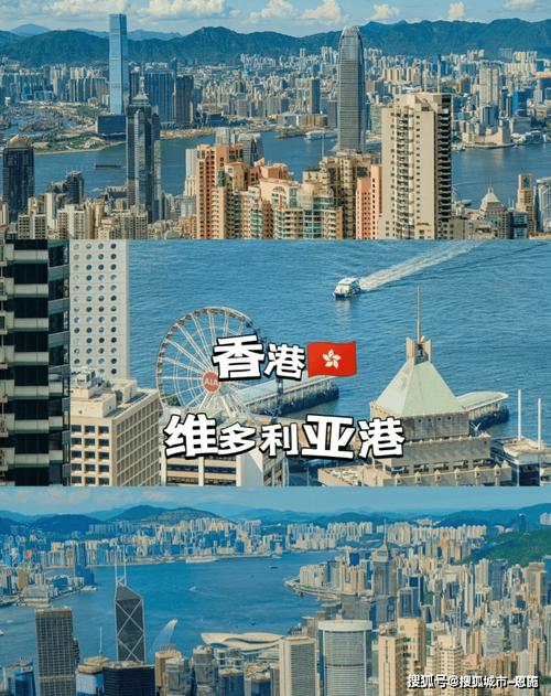 香港49期開(kāi)獎(jiǎng)結(jié)果,最佳精選數(shù)據(jù)資料_手機(jī)版24.02.60