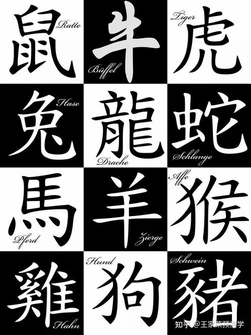 十二生肖卡碼表2024,最佳精選數(shù)據(jù)資料_手機版24.02.60