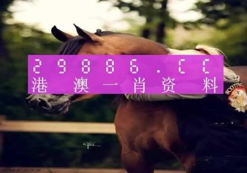 2024年澳門正版全年免費(fèi),最佳精選數(shù)據(jù)資料_手機(jī)版24.02.60