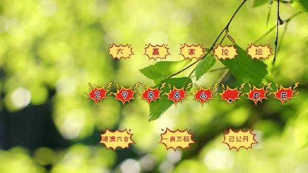 新澳門天天好彩資料網(wǎng)址,最佳精選數(shù)據(jù)資料_手機(jī)版24.02.60