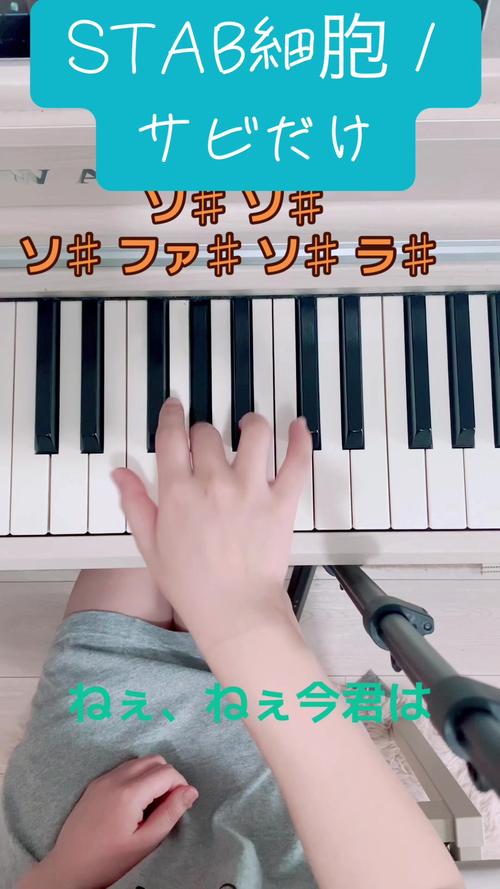 ねぇしよ第一集在線播放,最佳精選數(shù)據(jù)資料_手機(jī)版24.02.60