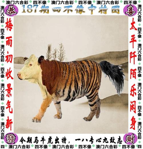 地方資訊 第219頁