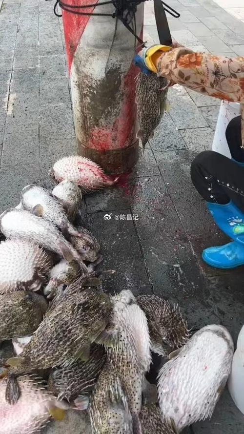 澳門一肖一碼100%準確搜視網(wǎng),最佳精選數(shù)據(jù)資料_手機版24.02.60