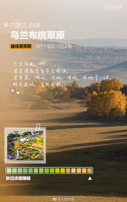一碼一肖100%中用戶評(píng)價(jià),最佳精選數(shù)據(jù)資料_手機(jī)版24.02.60