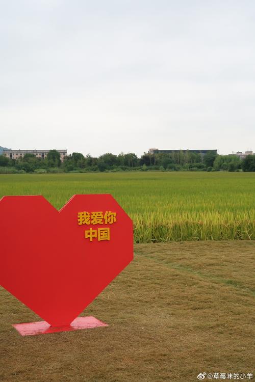 新澳資料免費(fèi)精準(zhǔn),最佳精選數(shù)據(jù)資料_手機(jī)版24.02.60