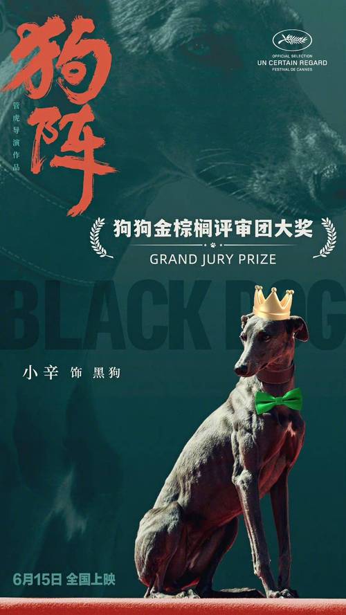 80網(wǎng)90網(wǎng)三級電影,最佳精選數(shù)據(jù)資料_手機(jī)版24.02.60