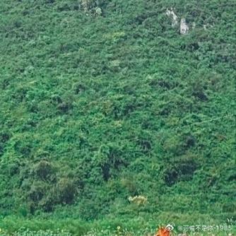 一肖一碼100%準(zhǔn)確使用方法,最佳精選數(shù)據(jù)資料_手機(jī)版24.02.60