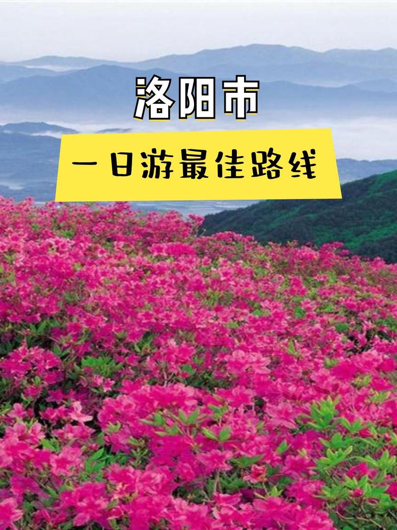 今天體育比賽有哪些,最佳精選數(shù)據(jù)資料_手機(jī)版24.02.60