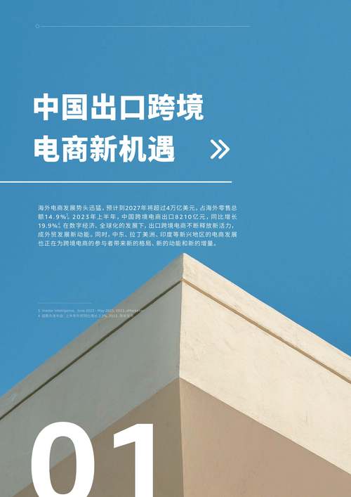 成人用品跨境電商哪個(gè)平臺(tái)好,最佳精選數(shù)據(jù)資料_手機(jī)版24.02.60