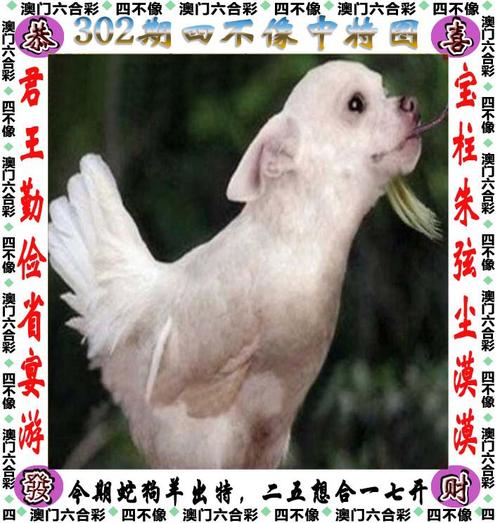 2022年澳門正版資料免費公開1877,最佳精選數(shù)據(jù)資料_手機(jī)版24.02.60