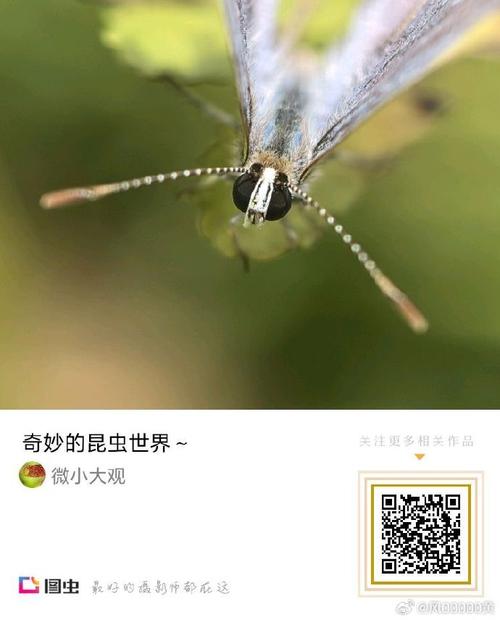 澳門六開彩免費網(wǎng)站,最佳精選數(shù)據(jù)資料_手機版24.02.60