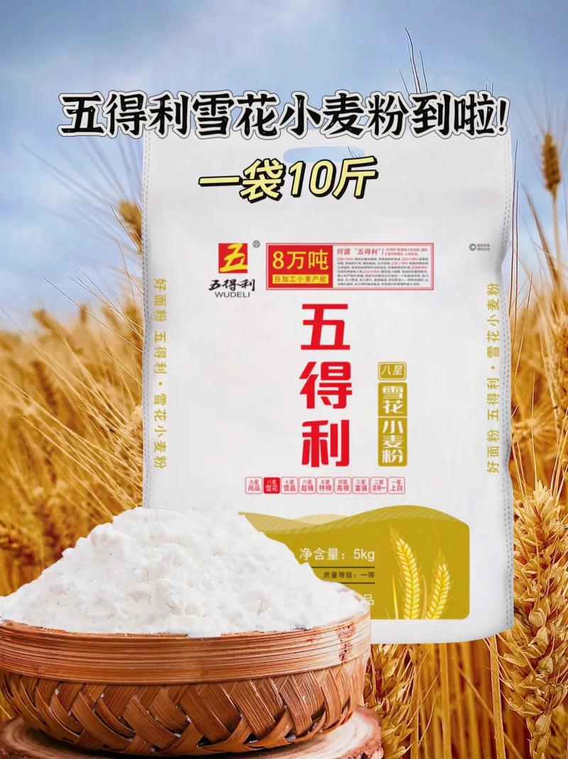 奧門最準精選免費資料大全很歷害的劉伯溫930十碼,最佳精選數(shù)據(jù)資料_手機版24.02.60