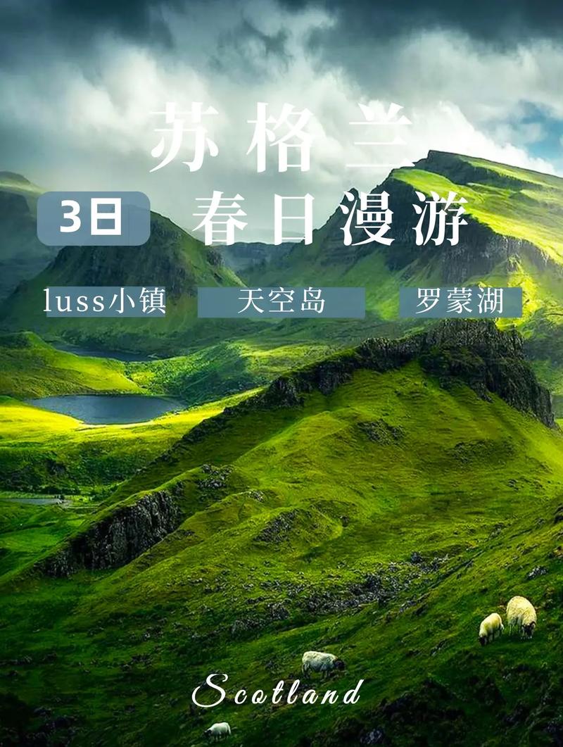 今晚四不像必中一肖圖3,最佳精選數(shù)據(jù)資料_手機版24.02.60