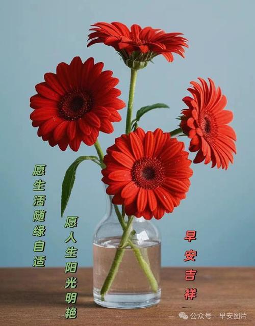 7月5日體育賽事,最佳精選數(shù)據(jù)資料_手機版24.02.60