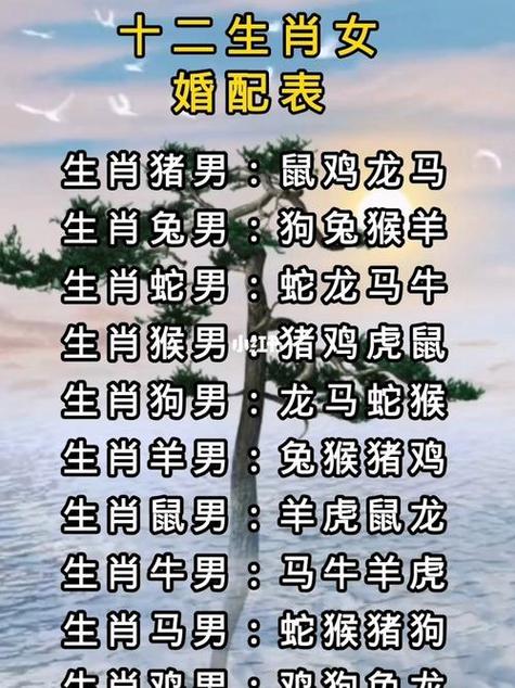 成人用品店價(jià)格表,最佳精選數(shù)據(jù)資料_手機(jī)版24.02.60