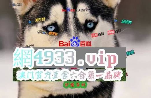 2024澳門精準(zhǔn)正版資料新澳門資,最佳精選數(shù)據(jù)資料_手機(jī)版24.02.60