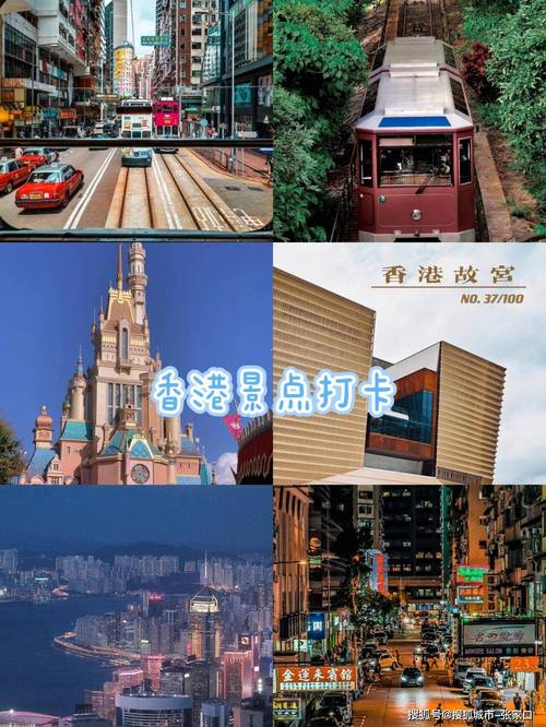 港澳最快開獎現(xiàn)場,最佳精選數(shù)據(jù)資料_手機版24.02.60