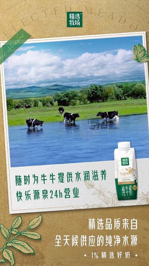 澳門一肖一碼期期準(zhǔn)中選料每,最佳精選數(shù)據(jù)資料_手機(jī)版24.02.60