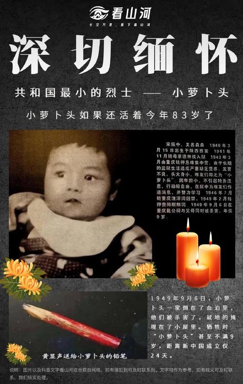 電視黎明之前全集播放,最佳精選數(shù)據(jù)資料_手機版24.02.60