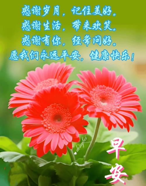 天天免費好彩看資料大全,最佳精選數(shù)據(jù)資料_手機版24.02.60