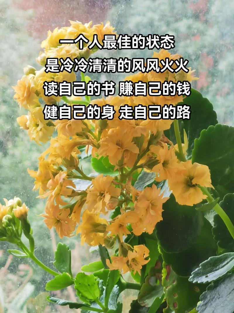 白小姐一肖期期中特開獎(jiǎng),最佳精選數(shù)據(jù)資料_手機(jī)版24.02.60