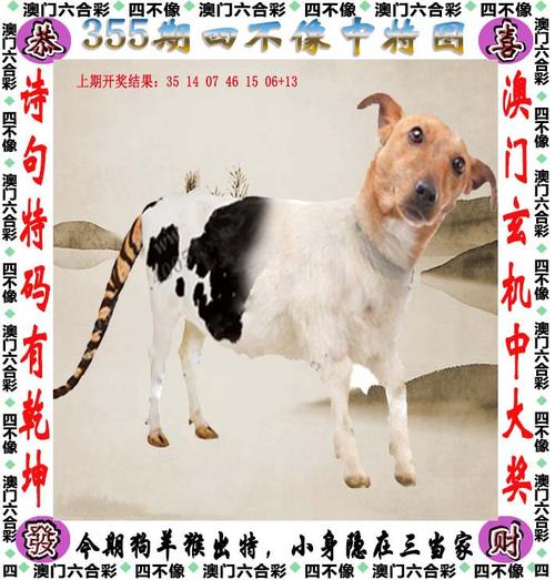 澳門管家婆精準(zhǔn)資料大全,最佳精選數(shù)據(jù)資料_手機(jī)版24.02.60