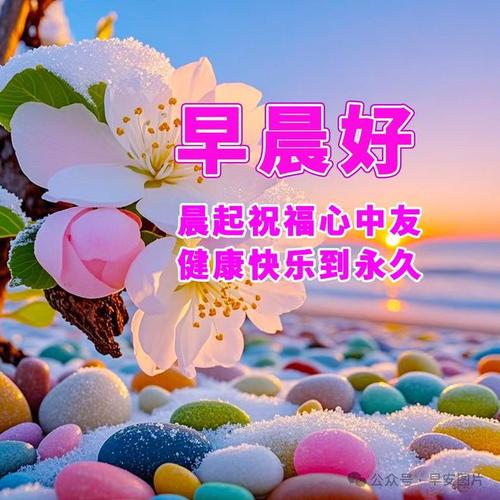 電視連續(xù)劇黎明之前全集,最佳精選數(shù)據(jù)資料_手機(jī)版24.02.60