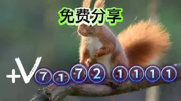 新澳門六開獎結(jié)果2024開獎記錄查詢網(wǎng)站,最佳精選數(shù)據(jù)資料_手機版24.02.60