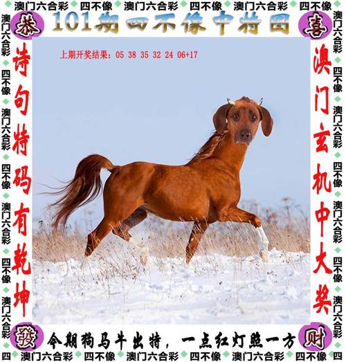 澳門天天好彩大全,最佳精選數(shù)據(jù)資料_手機(jī)版24.02.60