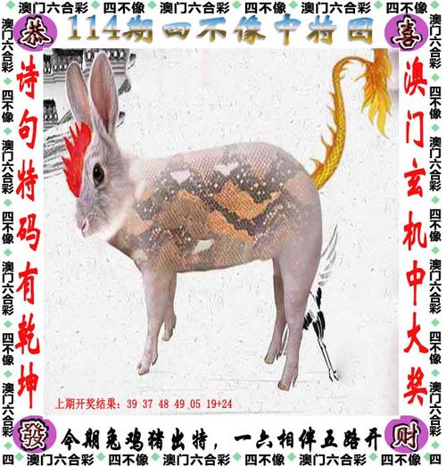 澳門精準(zhǔn)資料今晚期期準(zhǔn),最佳精選數(shù)據(jù)資料_手機(jī)版24.02.60