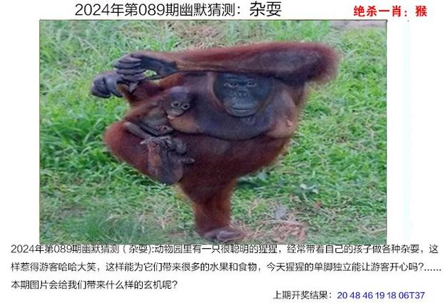 2024澳門六今晚開什么特,最佳精選數(shù)據(jù)資料_手機(jī)版24.02.60
