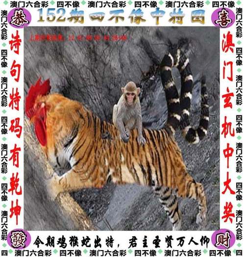 新澳門今晚開什么號碼記錄,最佳精選數(shù)據(jù)資料_手機版24.02.60