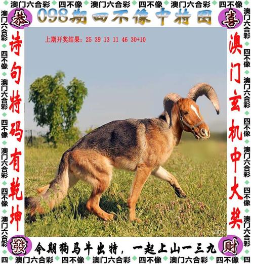 香港碼開(kāi)獎(jiǎng)結(jié)果2024開(kāi)獎(jiǎng)記錄,最佳精選數(shù)據(jù)資料_手機(jī)版24.02.60