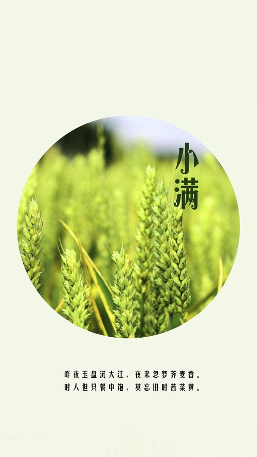 小滿生活電視劇免費(fèi)觀看星辰影視,最佳精選數(shù)據(jù)資料_手機(jī)版24.02.60