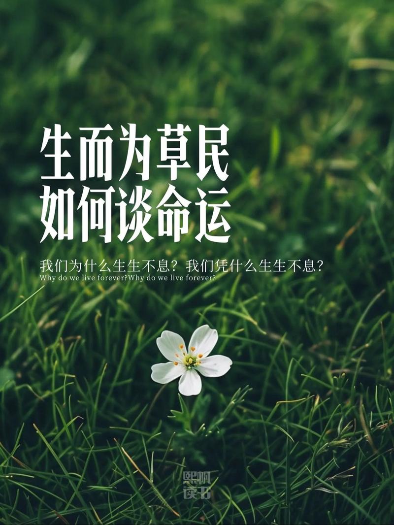 草民草民電影網(wǎng),最佳精選數(shù)據(jù)資料_手機(jī)版24.02.60