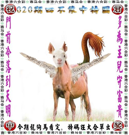 香港最快最準(zhǔn)資料免費(fèi)2021,最佳精選數(shù)據(jù)資料_手機(jī)版24.02.60