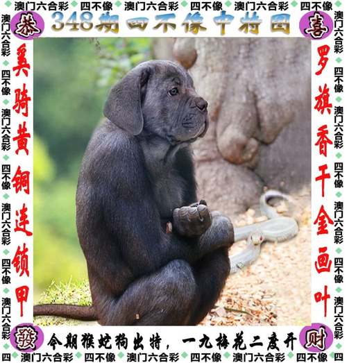 新澳門四不像,最佳精選數(shù)據(jù)資料_手機(jī)版24.02.60