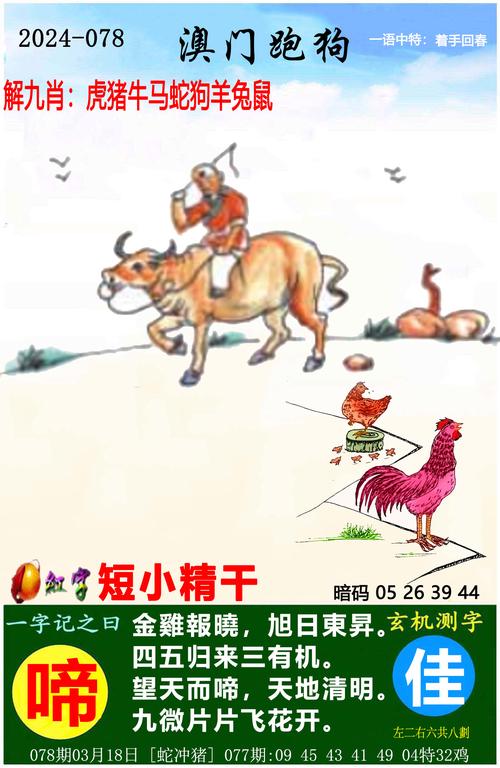 一肖一碼精準一碼,最佳精選數(shù)據(jù)資料_手機版24.02.60