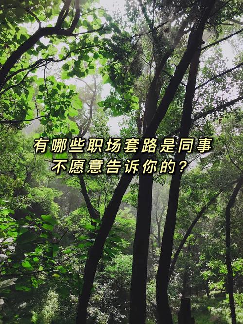 地方資訊 第108頁(yè)