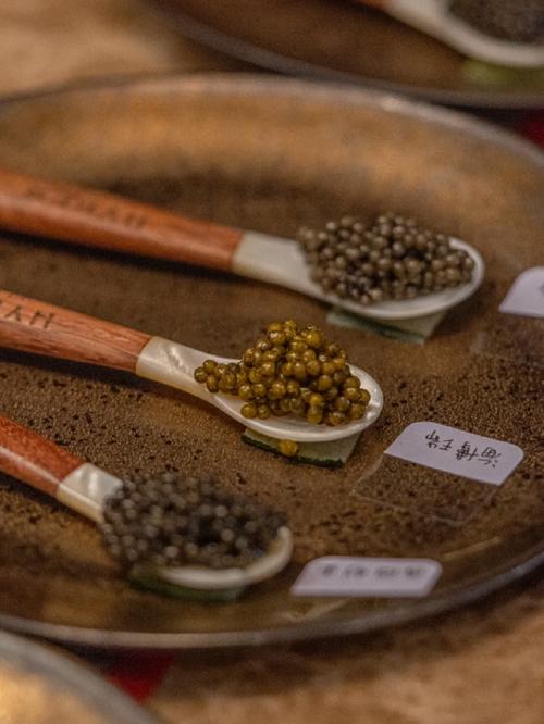 珍饈記電視劇免費(fèi)版在線觀看星辰影視,最佳精選數(shù)據(jù)資料_手機(jī)版24.02.60