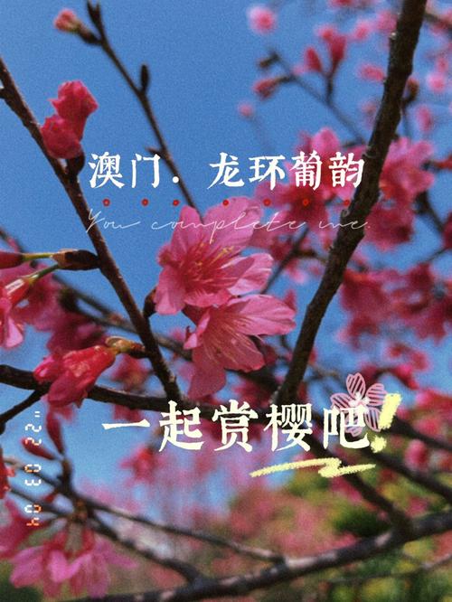 請(qǐng)把澳門(mén)特馬的資料發(fā)過(guò)來(lái)看一下,最佳精選數(shù)據(jù)資料_手機(jī)版24.02.60