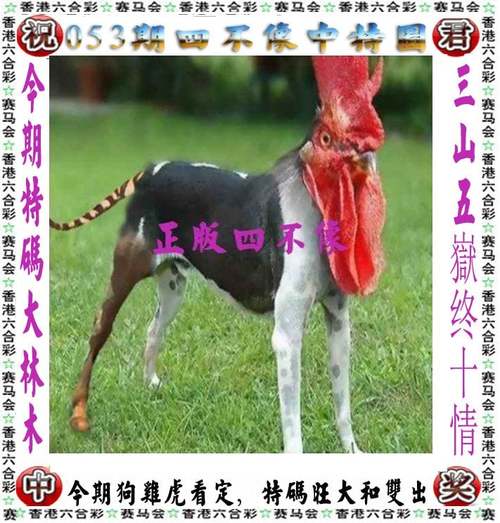 2024澳門(mén)今晚開(kāi)什么號(hào)碼,最佳精選數(shù)據(jù)資料_手機(jī)版24.02.60