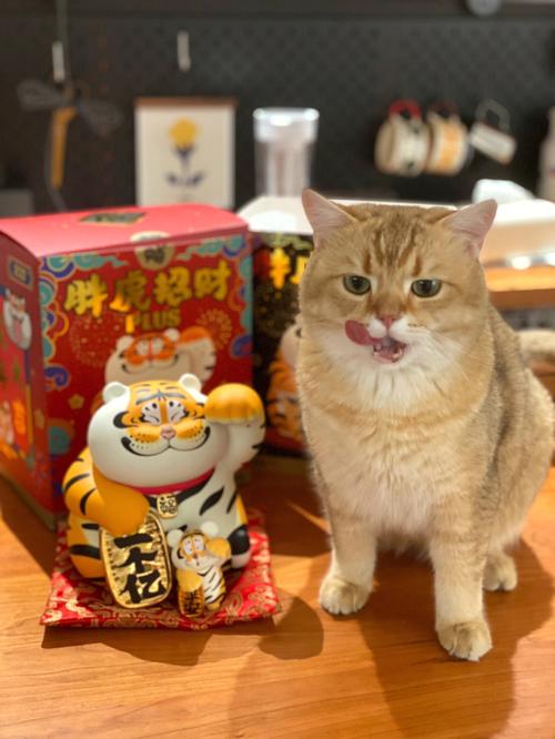 招財貓四肖八碼圖庫,最佳精選數(shù)據(jù)資料_手機(jī)版24.02.60