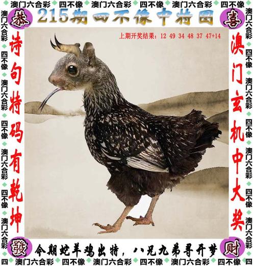 澳門六合管家婆一肖一碼一中,最佳精選數(shù)據(jù)資料_手機(jī)版24.02.60
