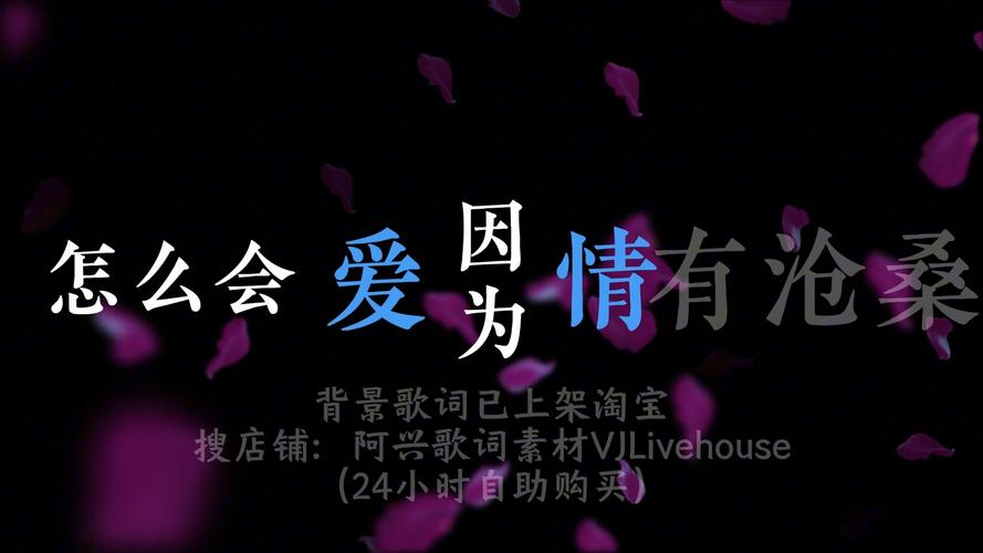 因?yàn)閻?ài)情歌詞在線看,最佳精選數(shù)據(jù)資料_手機(jī)版24.02.60