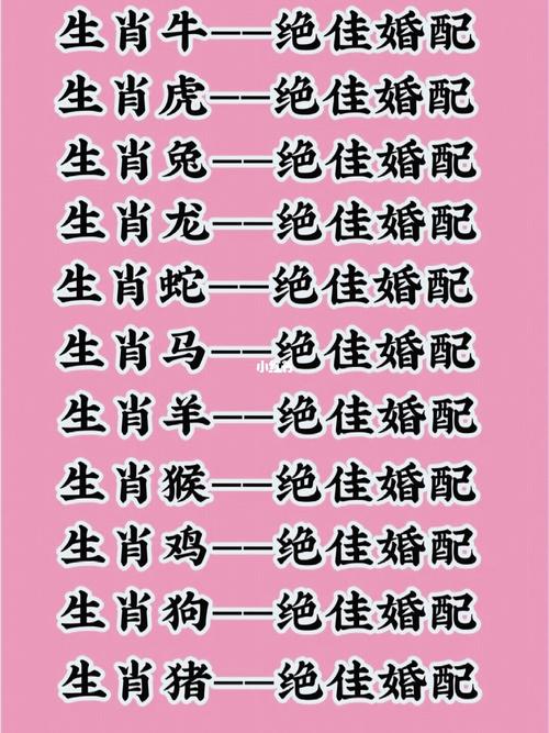 12生肖最佳夫妻配對(duì),最佳精選數(shù)據(jù)資料_手機(jī)版24.02.60