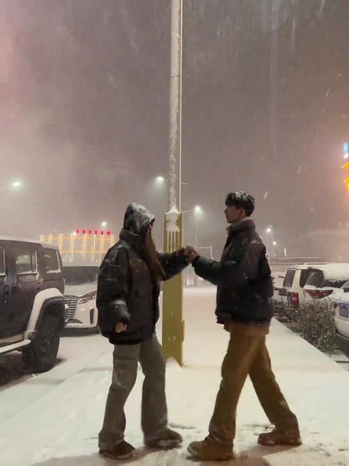 雪地里的情人,最佳精選數(shù)據(jù)資料_手機(jī)版24.02.60